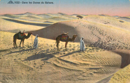 Dans Les Dunes Du Sahara - Sonstige & Ohne Zuordnung