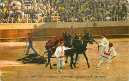 CORRIDA DE TOTOS . L'ARRASTRE . Enlèvement Du Taureau - Corridas