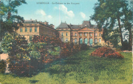 LUNEVILLE  .Le Château Vu Des Bosquets - Luneville