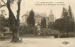 MONTBELIARD . Le Château . Vue Prise De La Promenade Des Fossés - Montbéliard