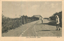 ADEN .  JOPP PROMENADE . CPA Naimée . - Yémen