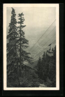 AK Rax, Raxbahn An Der Grenze Des Bergwaldes  - Funicular Railway