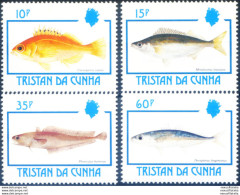 Fauna. Pesci 1992. - Tristan Da Cunha