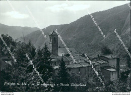 Br332 Cartolina Orsigna Il Panorama E Monte Pidocchina Pistoia Toscana - Pistoia