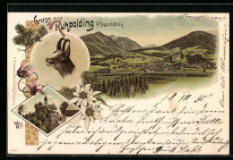 Lithographie Ruhpolding B. Traunstein, Panoramablick Auf Ort Und Berge, Maria-Eck, Gämse  - Traunstein