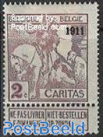 Belgium 1911 2c, Stamp Out Of Set, Unused (hinged), Nature - Horses - Ongebruikt