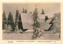 72641149 Altenberg Erzgebirge Waldschaenke Altes Raupennest Geising - Geising