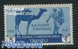 Italian Lybia 1932 5L, Stamp Out Of Set, Unused (hinged), Nature - Animals (others & Mixed) - Camels - Libya
