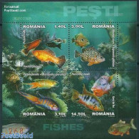 Romania 2012 Fish, Special S/s, Mint NH, Nature - Fish - Ungebraucht