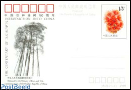 China People’s Republic 1990 Postcard, Eucalyptus, Unused Postal Stationary, Nature - Trees & Forests - Brieven En Documenten