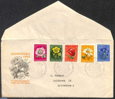 Netherlands 1952 Flowers FDC, Open Flap, Typed Address, First Day Cover, Nature - Flowers & Plants - Brieven En Documenten