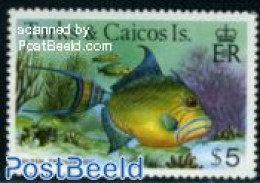 Turks And Caicos Islands 1978 $5, Stamp Out Of Set, Mint NH, Nature - Fish - Poissons