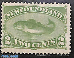 Newfoundland 1880 2c, Stamp Out Of Set, Unused (hinged), Nature - Fish - Fishes