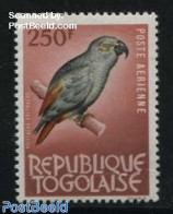 Togo 1964 250F, Stamp Out Of Set, Mint NH, Nature - Birds - Parrots - Togo (1960-...)