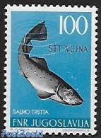 Trieste B-Zone 1954 Stamp Out Of Set, Mint NH, Nature - Fish - Peces