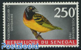 Senegal 1968 250F, Stamp Out Of Set, Mint NH, Nature - Birds - Sénégal (1960-...)