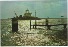 Hoek Van Holland -  (Nederland) - Steiger, Zee, Boot/Schip - Hoek Van Holland