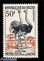 Niger 1959 50F, Stamp Out Of Set, Mint NH, Nature - Birds - Niger (1960-...)