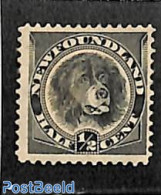 Newfoundland 1894 1/2c, Black, Stamp Out Of Set, Mint NH, Nature - Dogs - Autres & Non Classés