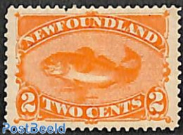 Newfoundland 1887 2c, Stamp Out Of Set, Unused (hinged), Nature - Fish - Fishes