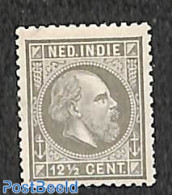 Netherlands Indies 1884 12.5c Grey, Perf. 12.5 Small Holes, Stamp Out Of S, Unused (hinged) - Autres & Non Classés