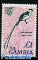 Gambia 1966 1pnd, Stamp Out Of Set, Mint NH, Nature - Birds - Gambia (...-1964)
