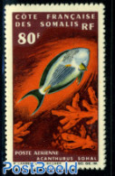 French Somalia 1966 Stamp Out Of Set, Mint NH, Nature - Fish - Fische