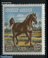 Egypt (Republic) 1978 500M, Stamp Out Of Set, Mint NH, Nature - Horses - Neufs