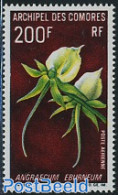 Comoros 1969 200F, Stamp Out Of Set, Mint NH, Nature - Flowers & Plants - Komoren (1975-...)