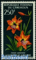 Cameroon 1967 250F, Stamp Out Of Set, Mint NH, Nature - Flowers & Plants - Cameroon (1960-...)