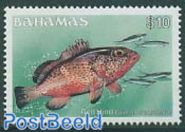 Bahamas 1986 10$, Stamp Out Of Set, Mint NH, Nature - Fish - Fishes