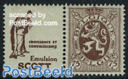 Belgium 1929 75c + Scott Croissance Et Convalescence Tab, Unused (hinged) - Unused Stamps