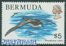 Bermuda 1978 5$, Stamp Out Of Set, Mint NH, Nature - Birds - Bermudas