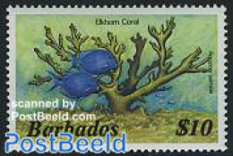 Barbados 1985 10$, Stamp Out Of Set, Mint NH, Nature - Fish - Poissons