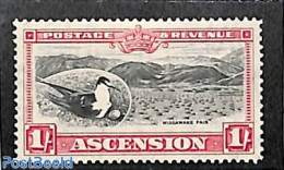 Ascension 1934 1Sh, Stamp Out Of Set, Unused (hinged), Nature - Birds - Ascension