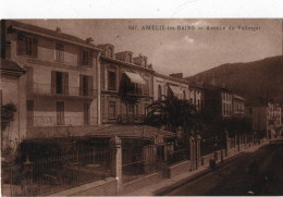 AMELIE LES BAINS ( 66 ) - Avenue Du Vallespir - Amélie-les-Bains-Palalda