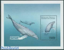 Comoros 1999 Buckwhale S/s, Mint NH, Nature - Sea Mammals - Comores (1975-...)