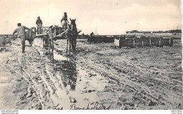 CPSM Dentellée - Les Bouchôteurs En 1953 - CHATELAILLON 17 Charentes Maritimes - N°4 - Edit.H. CHISSADON - Châtelaillon-Plage