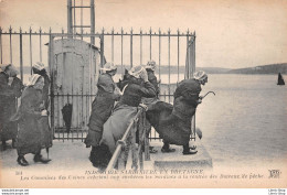 BRETAGNE -Industrie Sardinière- Les Commises Des Usines Achetant Aux Enchères Les Sardines  -Éd. ND - Pesca