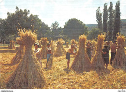 TRADITIONS "Les Petits Metiers De Chez Nous" - Survivance Du Passé - Les Moissons - Collection As De Cœur - Culturas