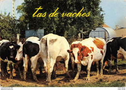 CPSM - 1970 - Tas De Vaches - Éditions Mage - Mucche