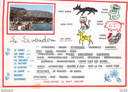 CPSM ±1970 - LE LAVANDOU - Souligner Le Mot Désiré "spécial Flemmard " - - Le Lavandou