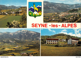 CPSM  ±1970 - SEYNE-LES-ALPES - Blason - Vue Générale - Le Bas De La Seyne- Maison Familiale - Éd. DES ALPES - Other & Unclassified