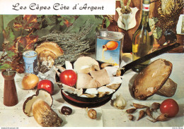 Recette De Cuisine - Les Cèpes Côte D'Argent - Cpsm GF Dentelée - Küchenrezepte