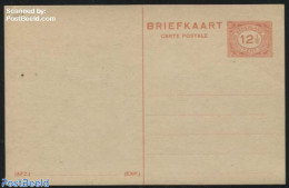 Netherlands 1938 Postcard 12.5c Red (Normal R), Unused Postal Stationary - Covers & Documents