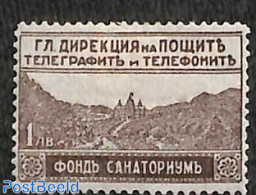 Bulgaria 1929 Holidays 1v, Mint NH, Various - Tourism - Unused Stamps