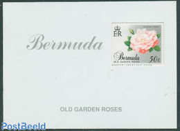 Bermuda 1989 Roses 10v In Booklet, Mint NH, Nature - Flowers & Plants - Roses - Stamp Booklets - Unclassified