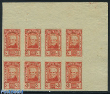 Argentina 1891 20 Pesos Orange Red Corner Sheetlet Of 8 Stamps Im, Unused (hinged) - Ongebruikt