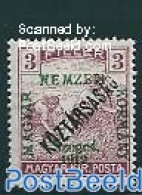 Hungary 1919 Szegedin, 3f, Stamp Out Of Set, Unused (hinged) - Ungebraucht