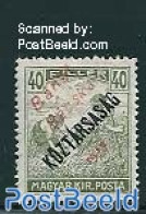 Hungary 1919 Banat Bacska, 40f, Stamp Out Of Set, Unused (hinged) - Nuovi